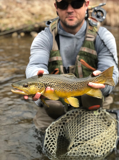 Mountain Trout Fly Fishing School in George Washington National Forest –  Murray's Fly Shop